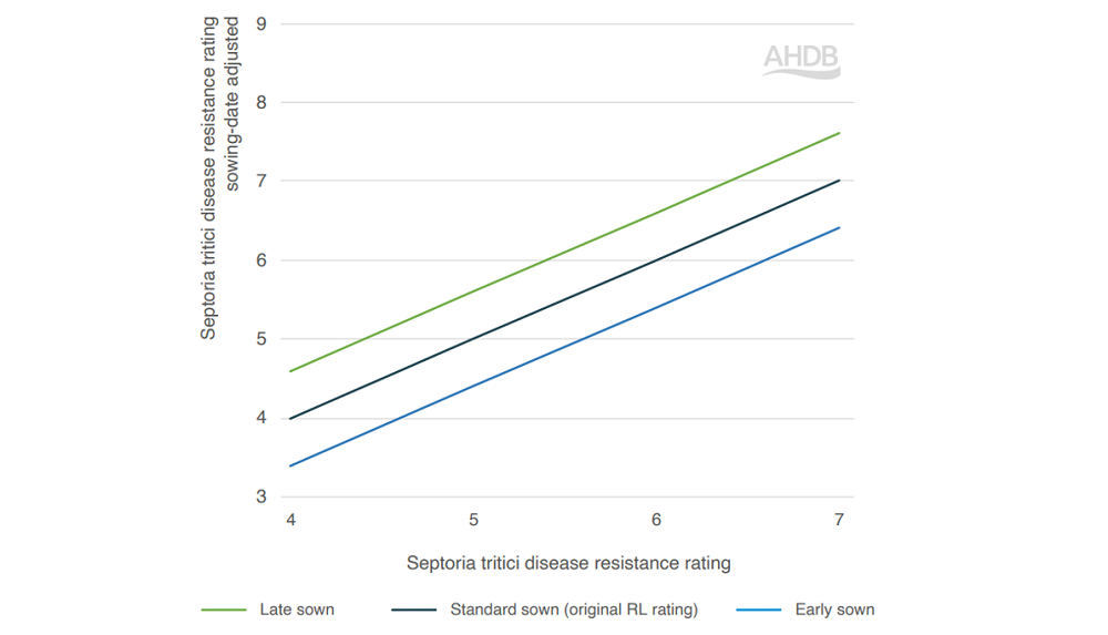 The influence of drilling date on wheat septoria disease resistance ratings (shown in a chart)